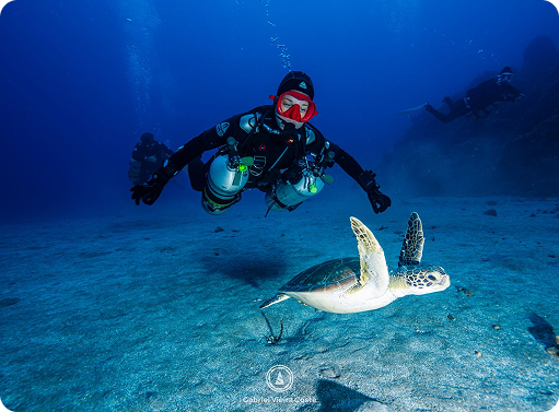 mulher-nadando-com-tartatuga